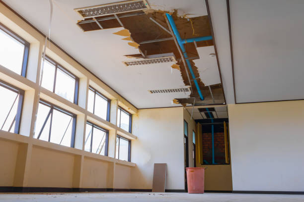 Best Ceiling water damage repair  in Bratenahl, OH