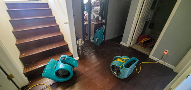 Best Commercial water damage restoration  in Bratenahl, OH
