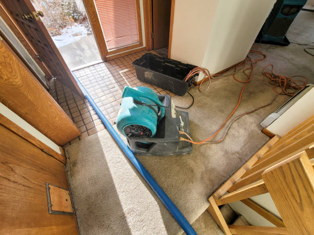 Best Emergency water damage restoration  in Bratenahl, OH