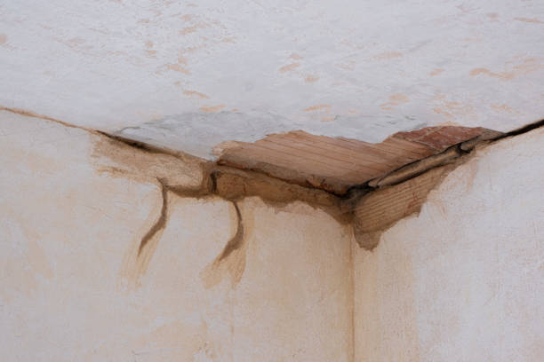 Best Flood restoration services  in Bratenahl, OH