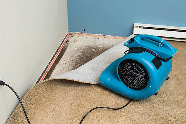 Best Sewage cleanup and water damage restoration  in Bratenahl, OH
